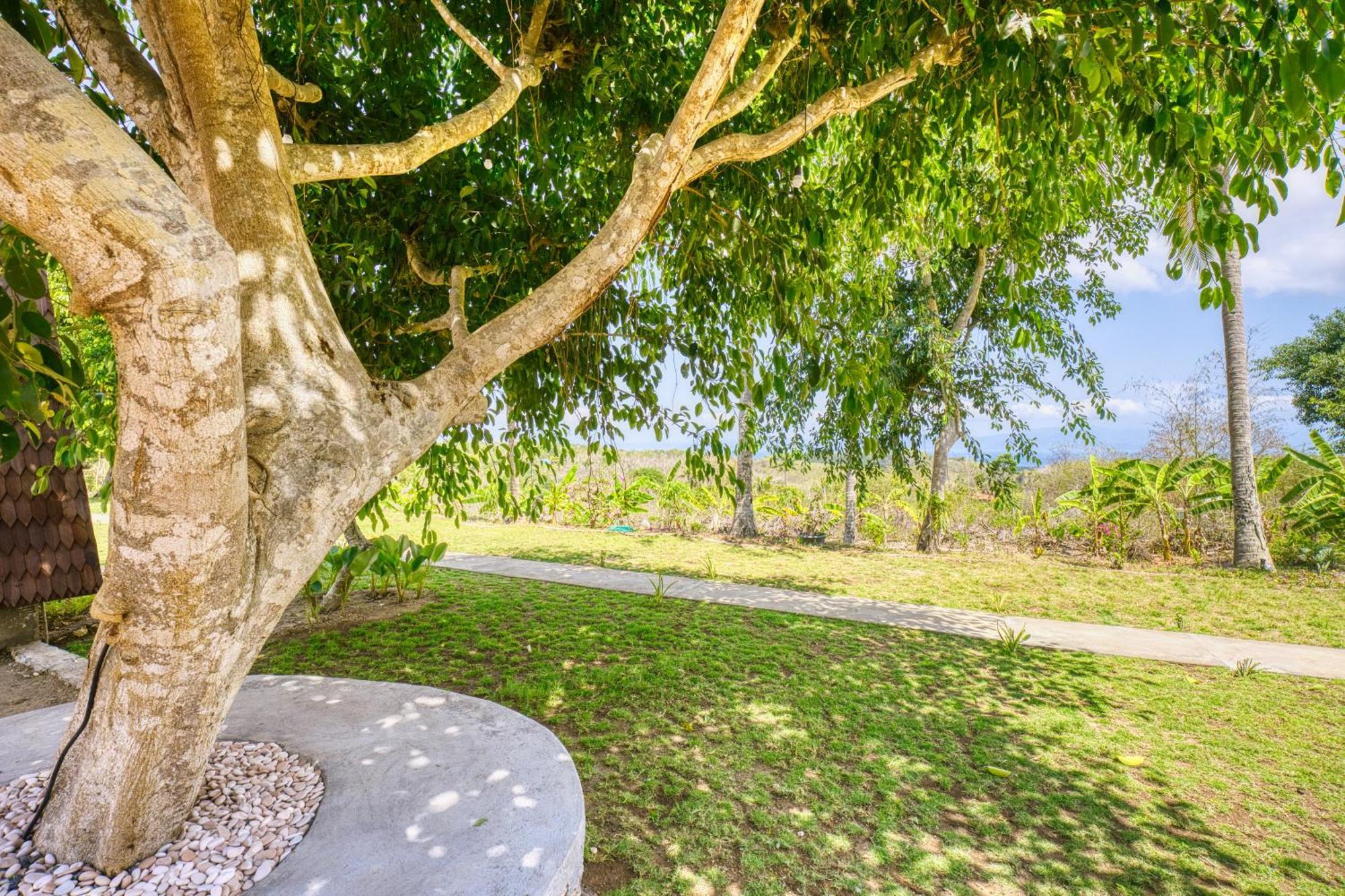 Nature Hill Penida Toyapakeh المظهر الخارجي الصورة